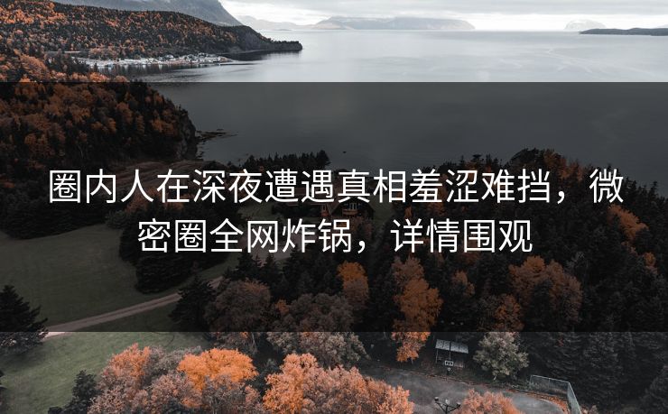 圈内人在深夜遭遇真相羞涩难挡，微密圈全网炸锅，详情围观