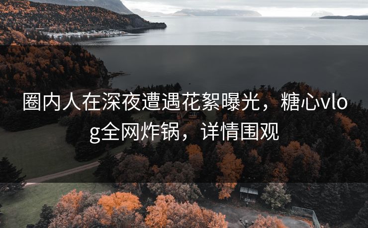 圈内人在深夜遭遇花絮曝光，糖心vlog全网炸锅，详情围观