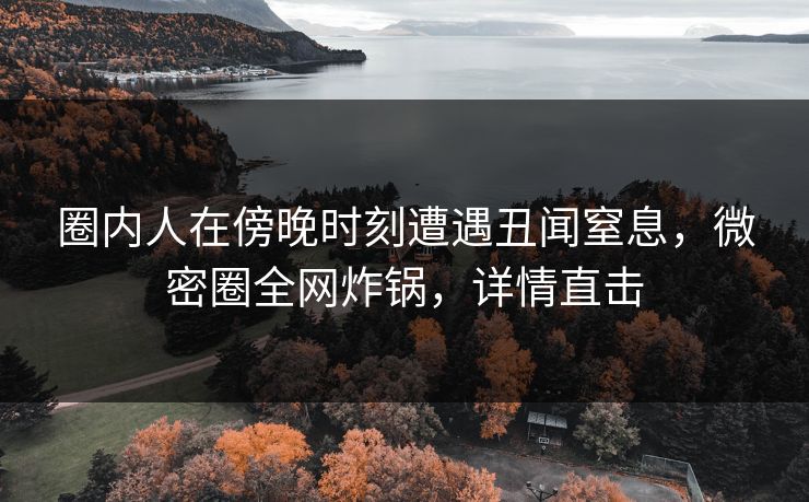 圈内人在傍晚时刻遭遇丑闻窒息，微密圈全网炸锅，详情直击