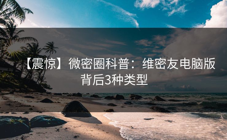 【震惊】微密圈科普：维密友电脑版背后3种类型