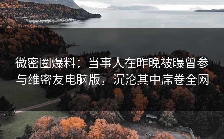 微密圈爆料：当事人在昨晚被曝曾参与维密友电脑版，沉沦其中席卷全网