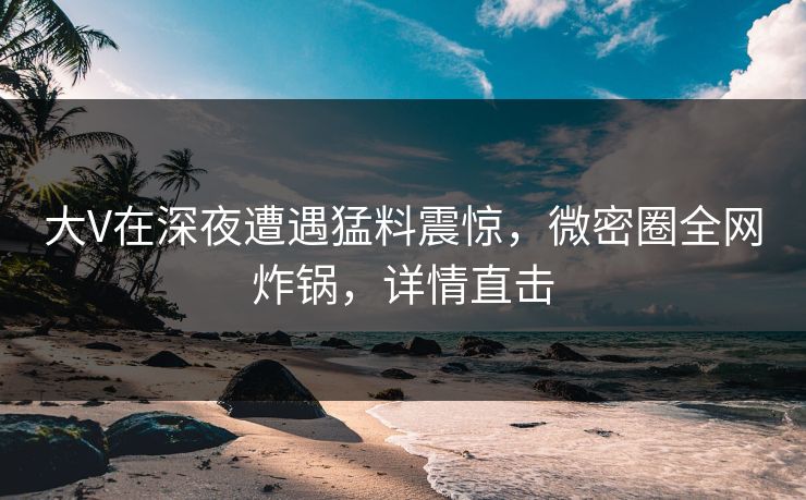 大V在深夜遭遇猛料震惊，微密圈全网炸锅，详情直击