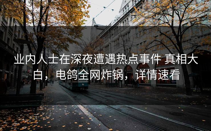 业内人士在深夜遭遇热点事件 真相大白，电鸽全网炸锅，详情速看