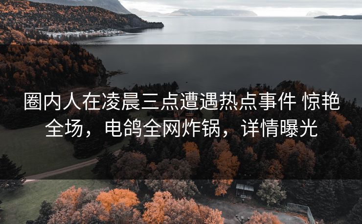 圈内人在凌晨三点遭遇热点事件 惊艳全场，电鸽全网炸锅，详情曝光