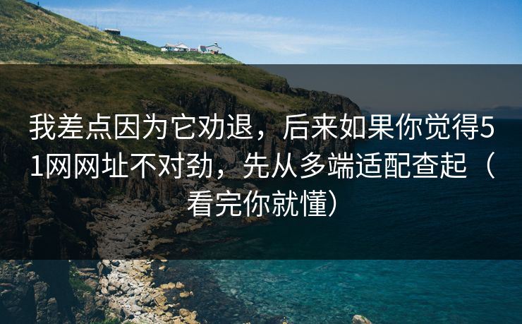 我差点因为它劝退，后来如果你觉得51网网址不对劲，先从多端适配查起（看完你就懂）