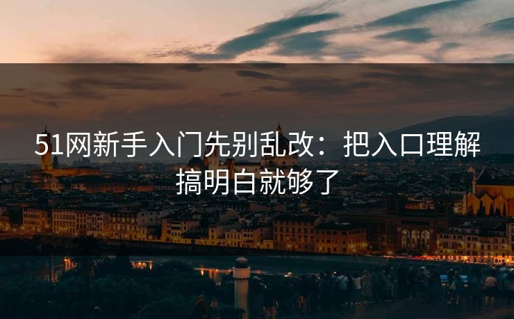 51网新手入门先别乱改：把入口理解搞明白就够了
